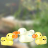  &middot; Enten